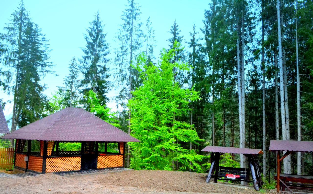 Pensiunea Vatra Bucovinei Vatra Moldoviţei Exteriör bild