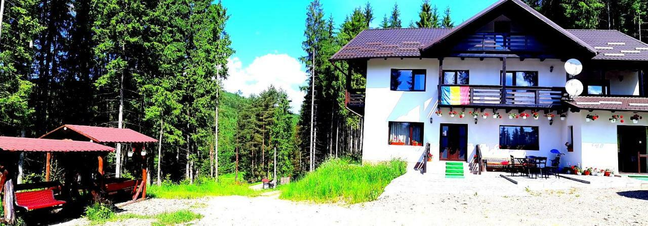 Pensiunea Vatra Bucovinei Vatra Moldoviţei Exteriör bild